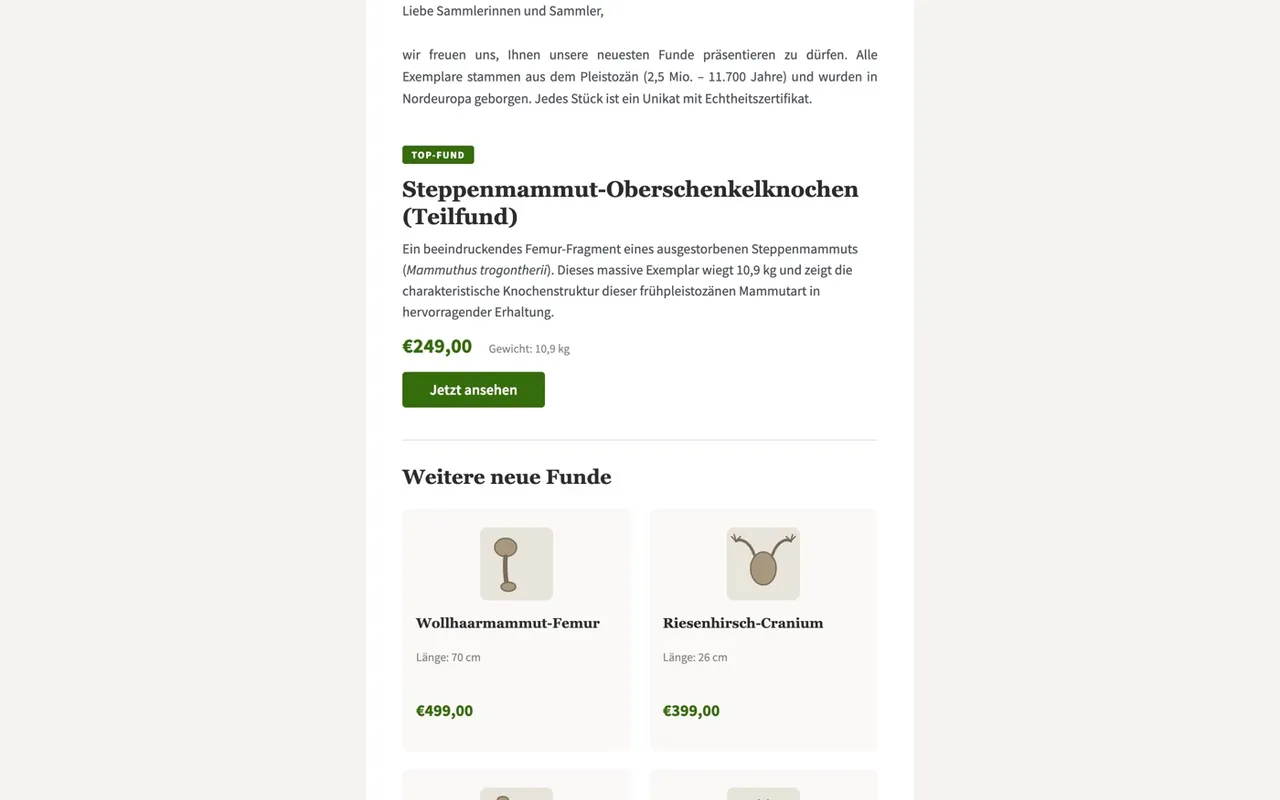 Tamora Fossils – Newsletter
